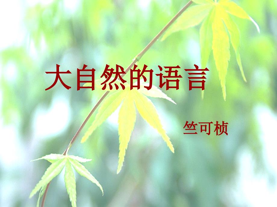 2015-2016年七年级语文上册 第四单元 第18课《大自然的语言》课件 鄂教版_第2页