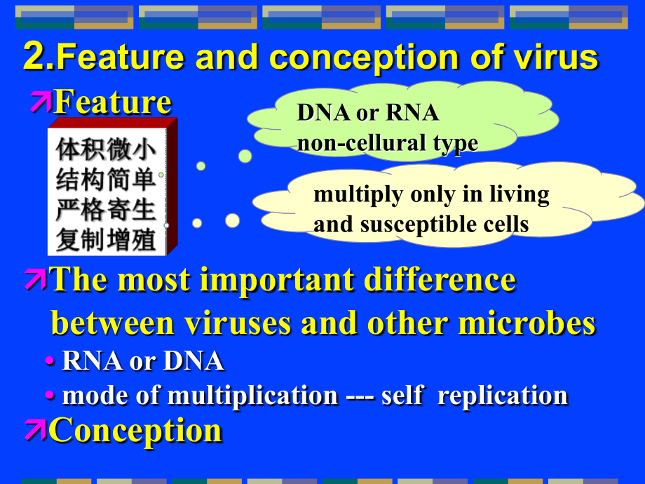 医学微生物-病毒总论课件_第3页