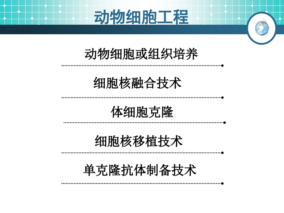 动物细胞工程-上课用课件_第4页