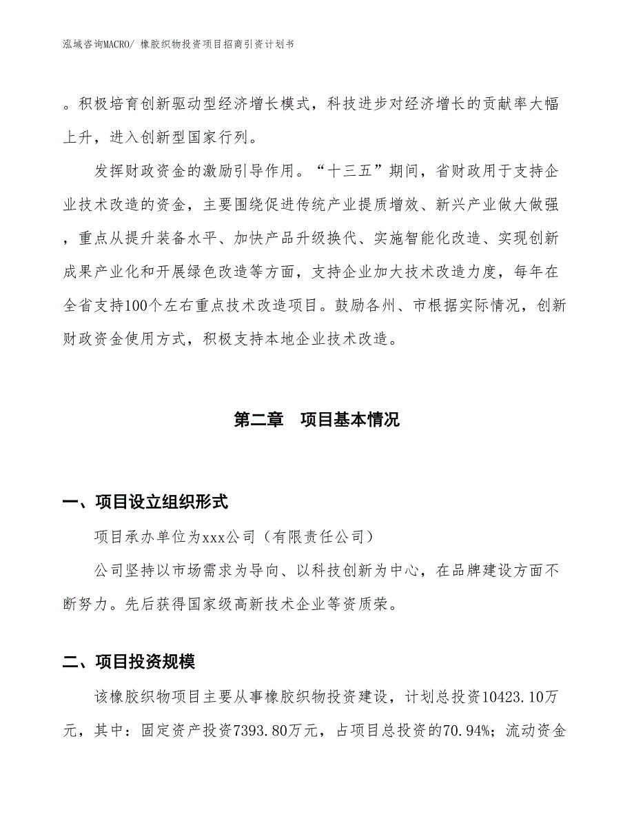 橡胶织物投资项目招商引资计划书_第4页