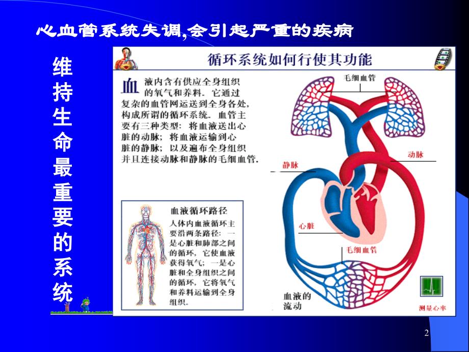 循环系统药物_1_第2页