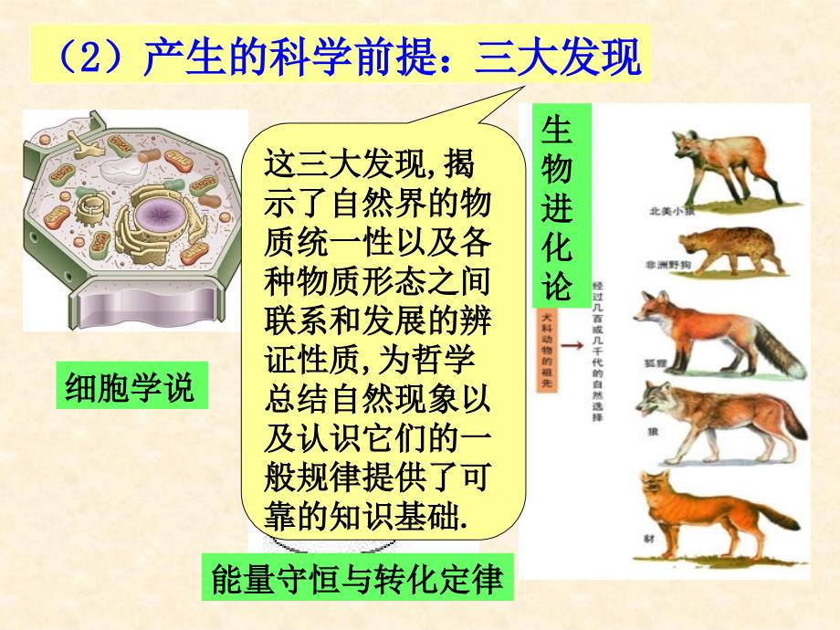 优质课比赛政治】3.2《哲学史上的伟大变革》课件2(人教版必修4)_第4页