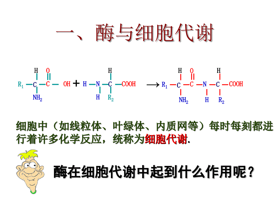 人教版高一生物必修1课件：5.1.1降低化学反应活化能的酶_第3页