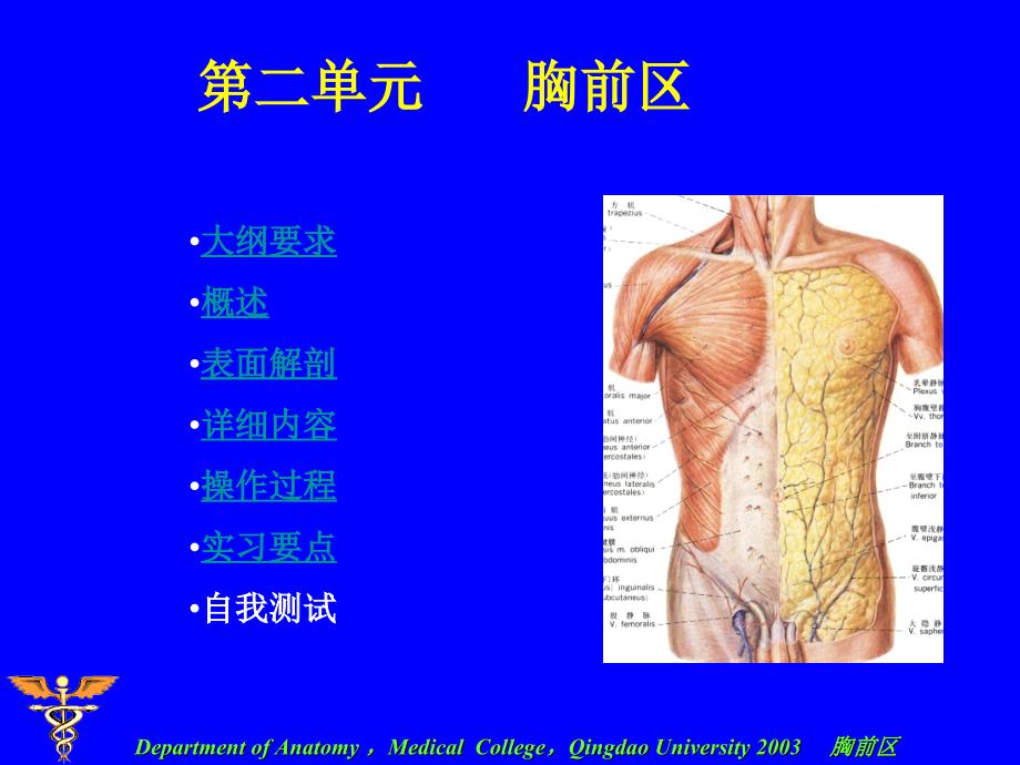 局部解剖胸前区ppt-局部解剖学课件_第1页