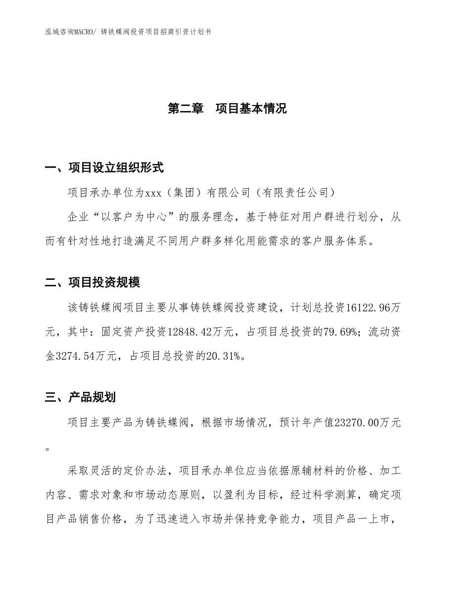 铸铁蝶阀投资项目招商引资计划书_第5页