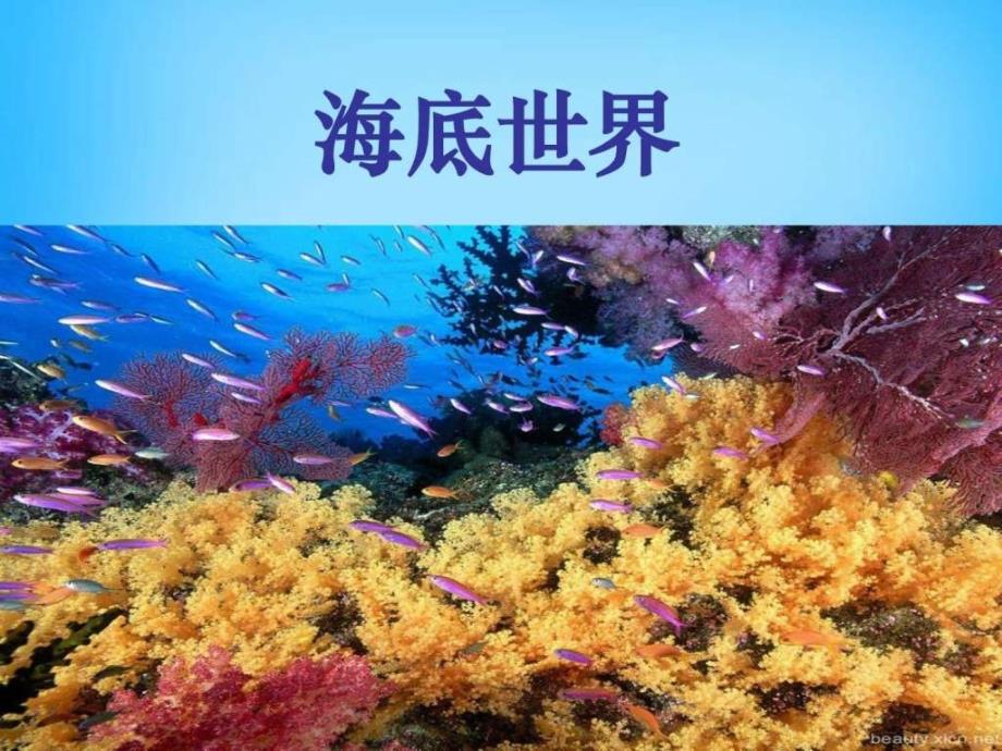2015秋三年级语文上册《海底世界》课件3 沪教版_图文_第2页