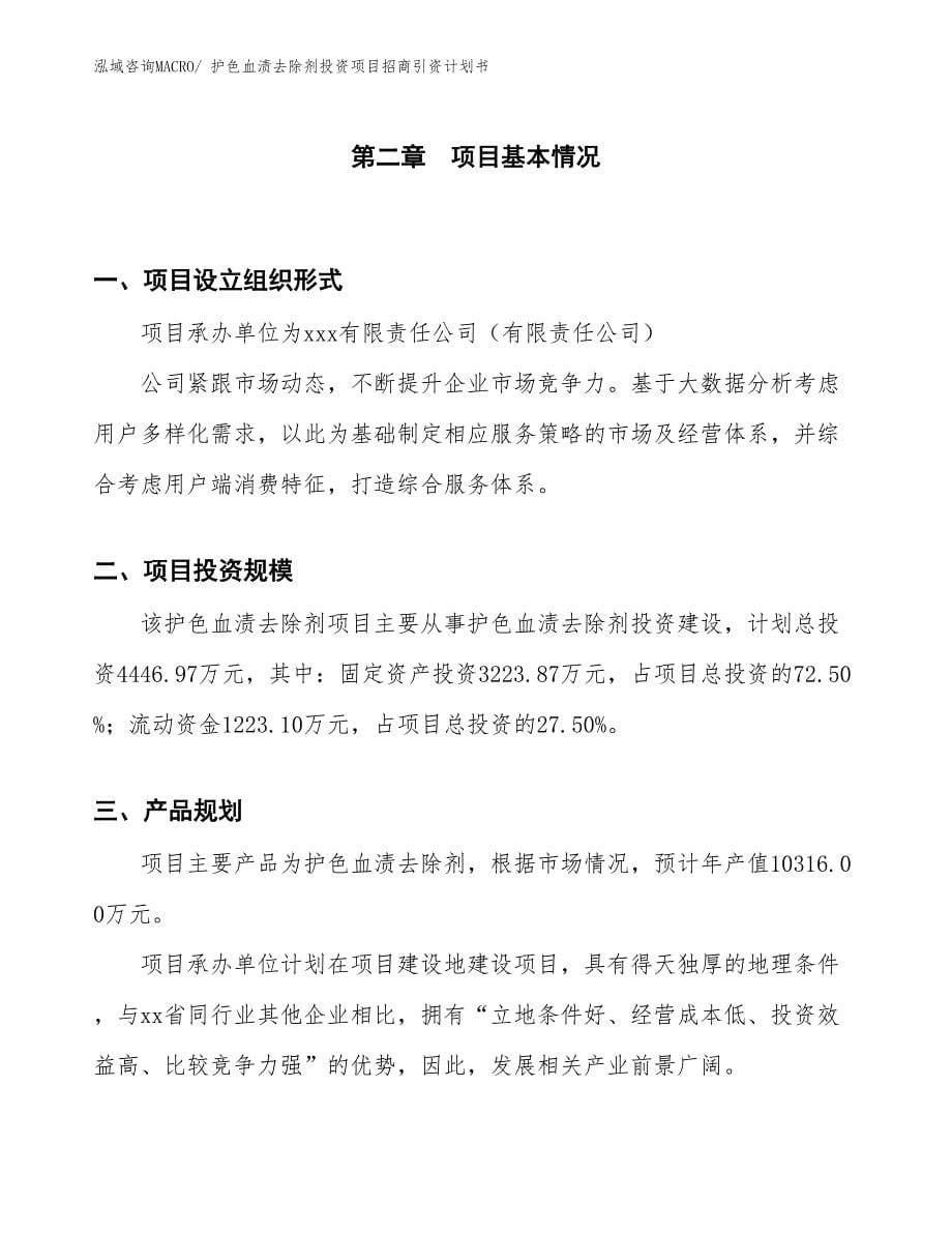 护色血渍去除剂投资项目招商引资计划书_第5页