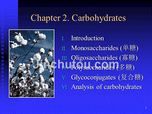 生物化学上册-第二章双语课件