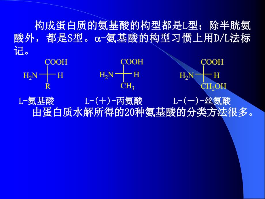 氨基酸_蛋白质_核酸ppt-医用化学课件_第2页