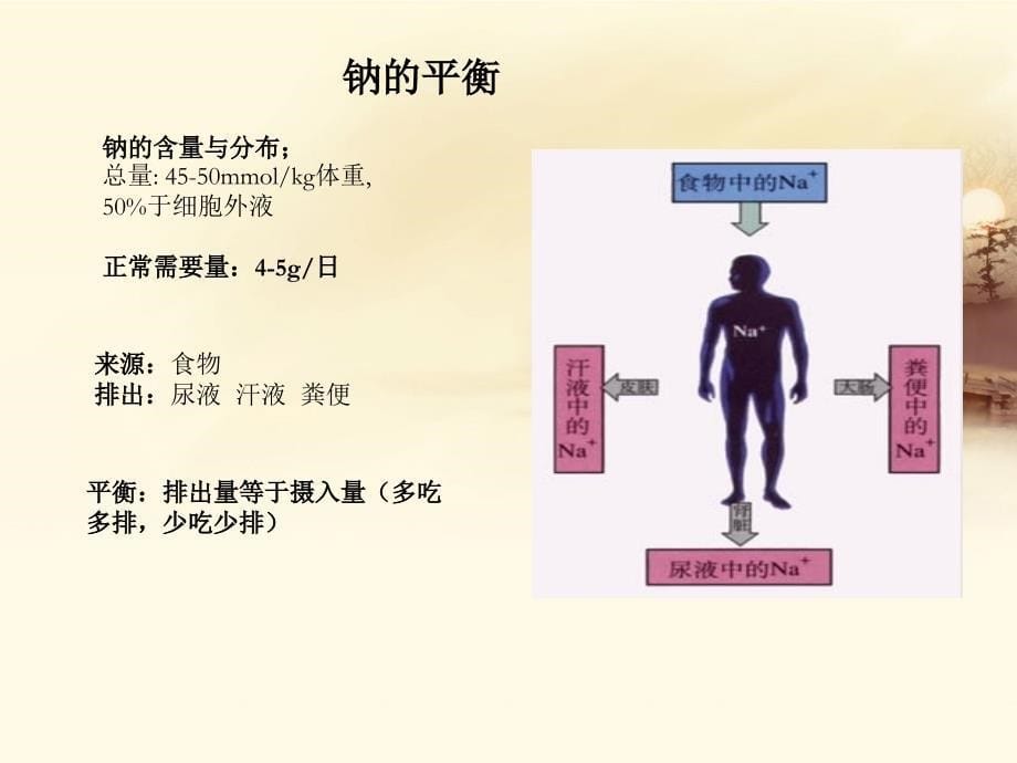 禁食、危重病人补液课件_第5页