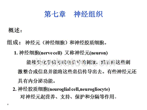 神经组织课件_1