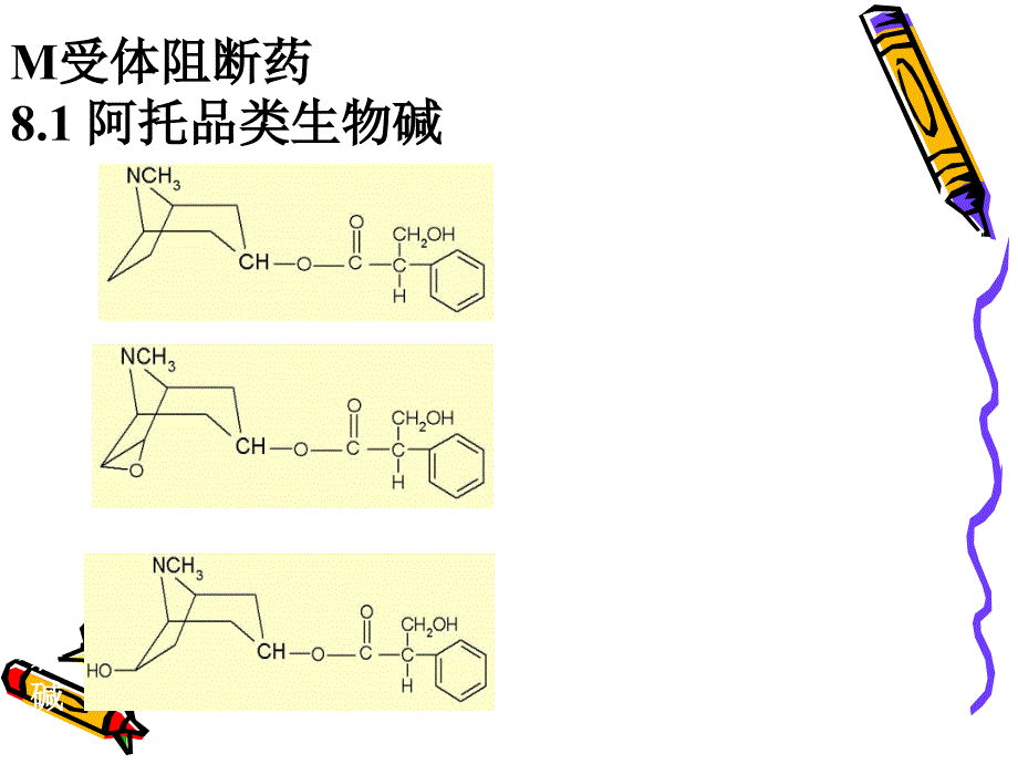 药理学-抗胆碱药课件_第3页