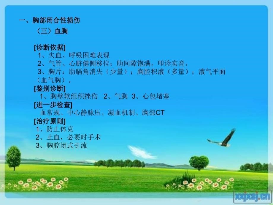 2011年执业医师技能考试病例分析外科部分_第5页