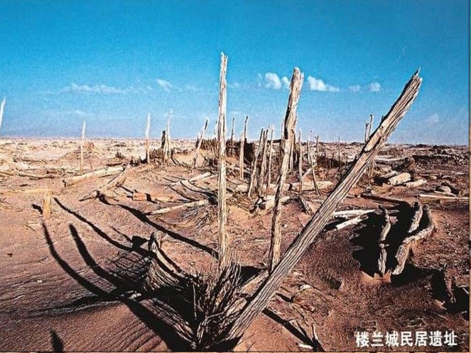 2006年浙江地区高一地理第二节全球气候变化对人类活动的影响湘教版_第2页
