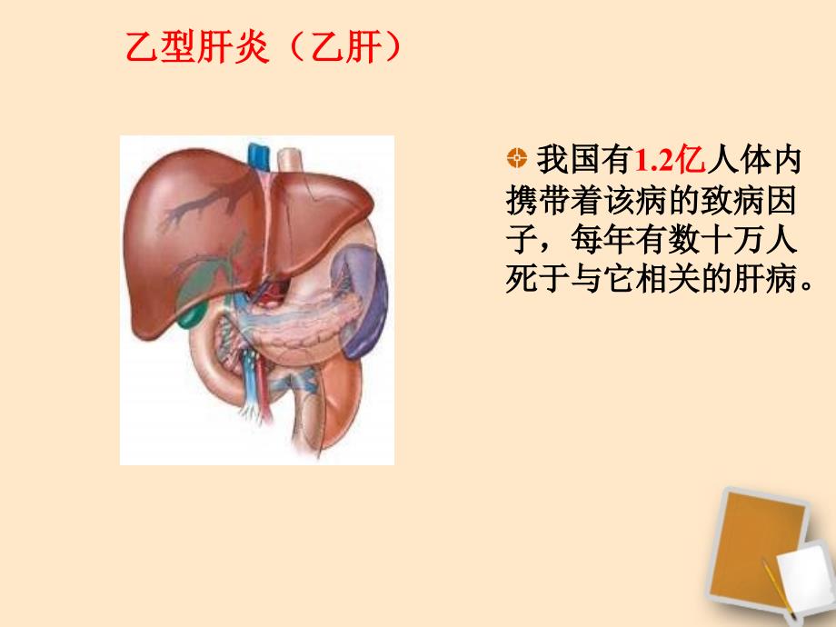 七年级生物上册-第三章第一节-病毒课件_第4页