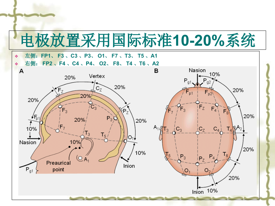 上课用脑电图_第2页