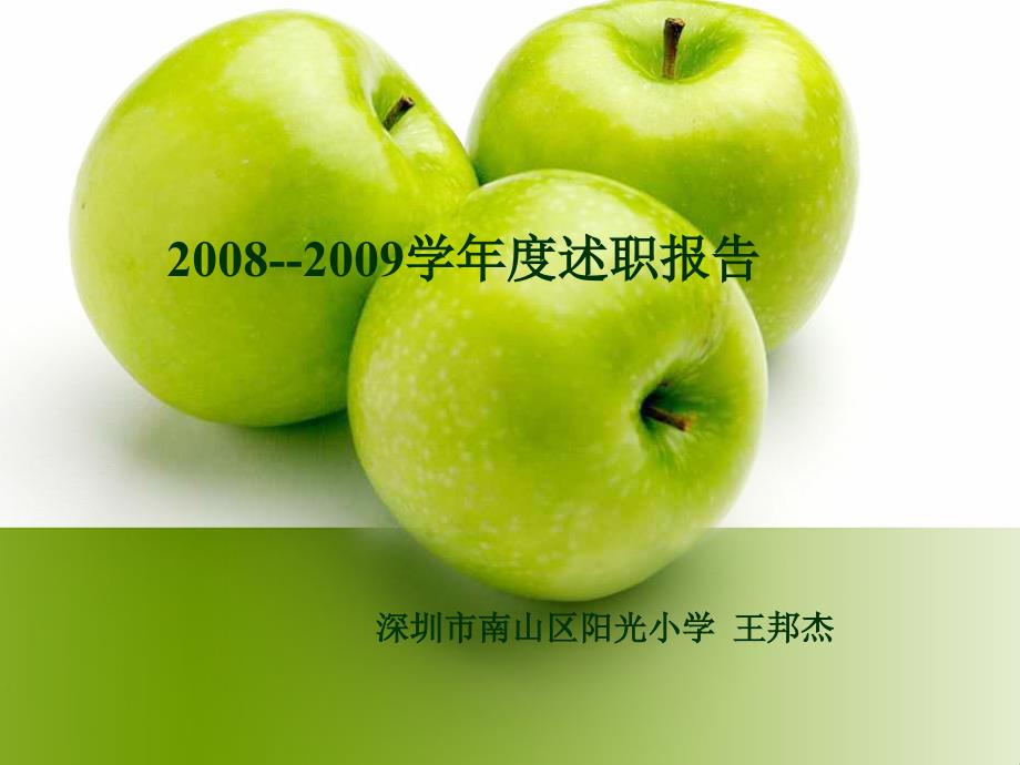 2008-2009学年校长述职报告王邦杰-阳光小学_第1页