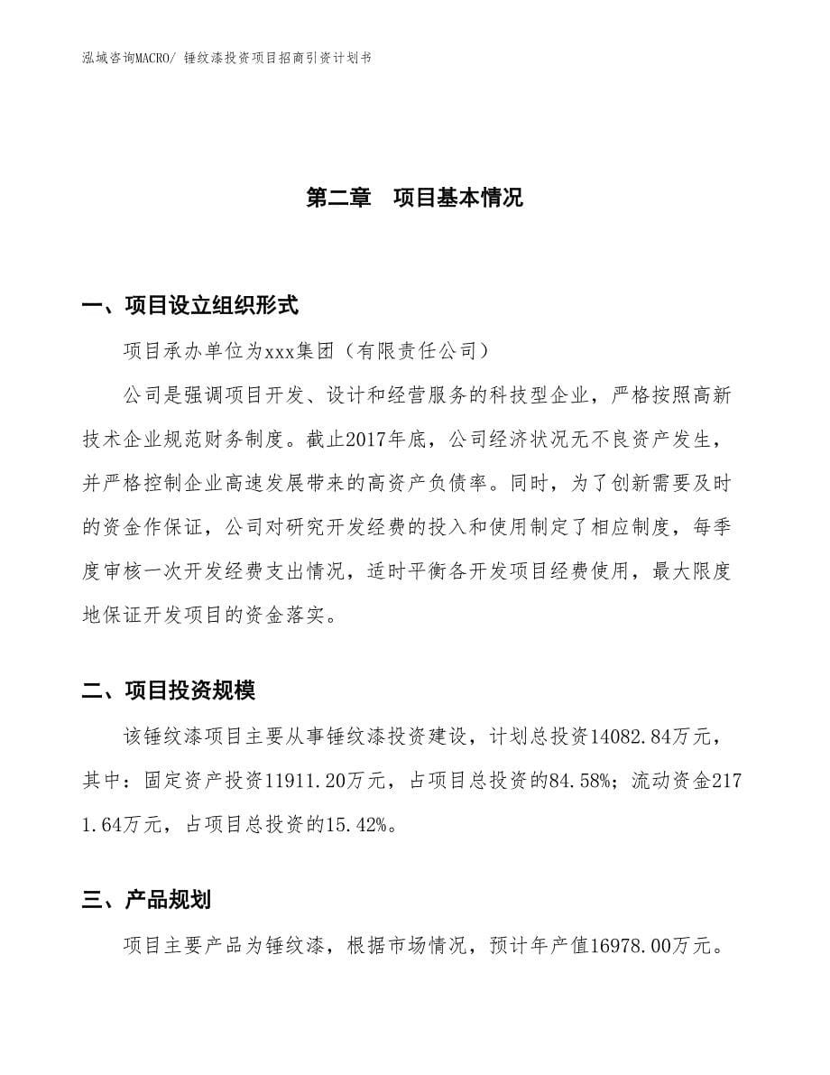 锤纹漆投资项目招商引资计划书_第5页