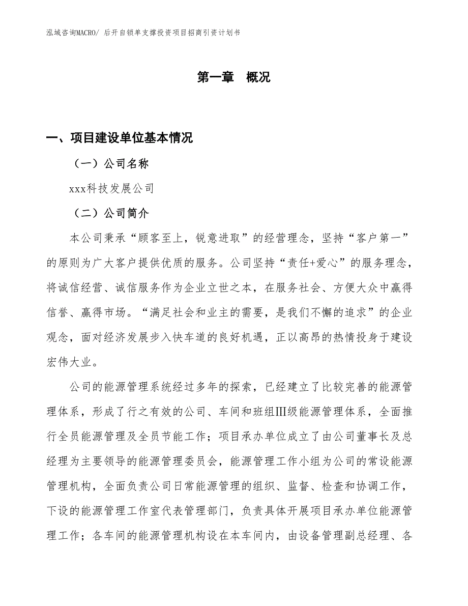 后开自锁单支撑投资项目招商引资计划书_第1页