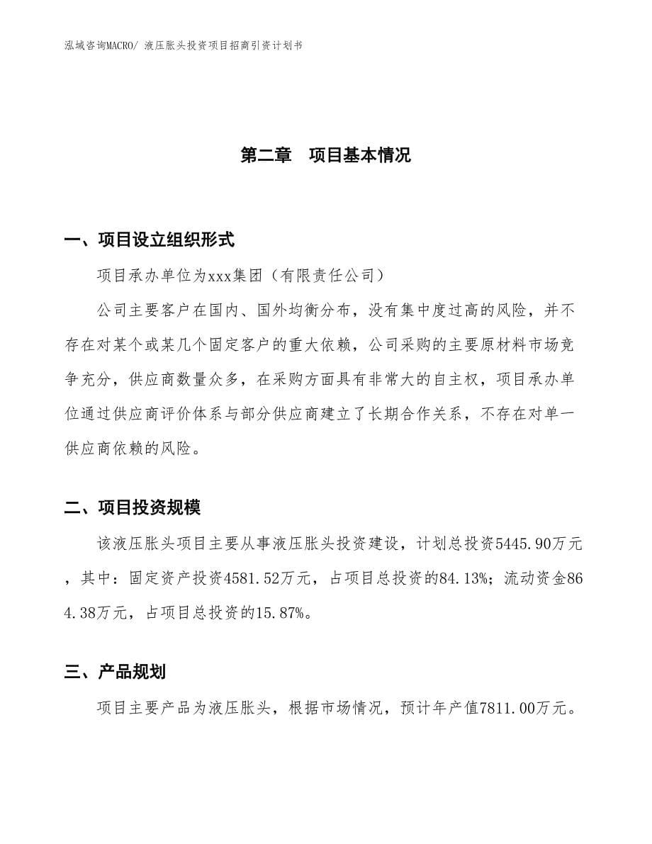 液压胀头投资项目招商引资计划书_第5页