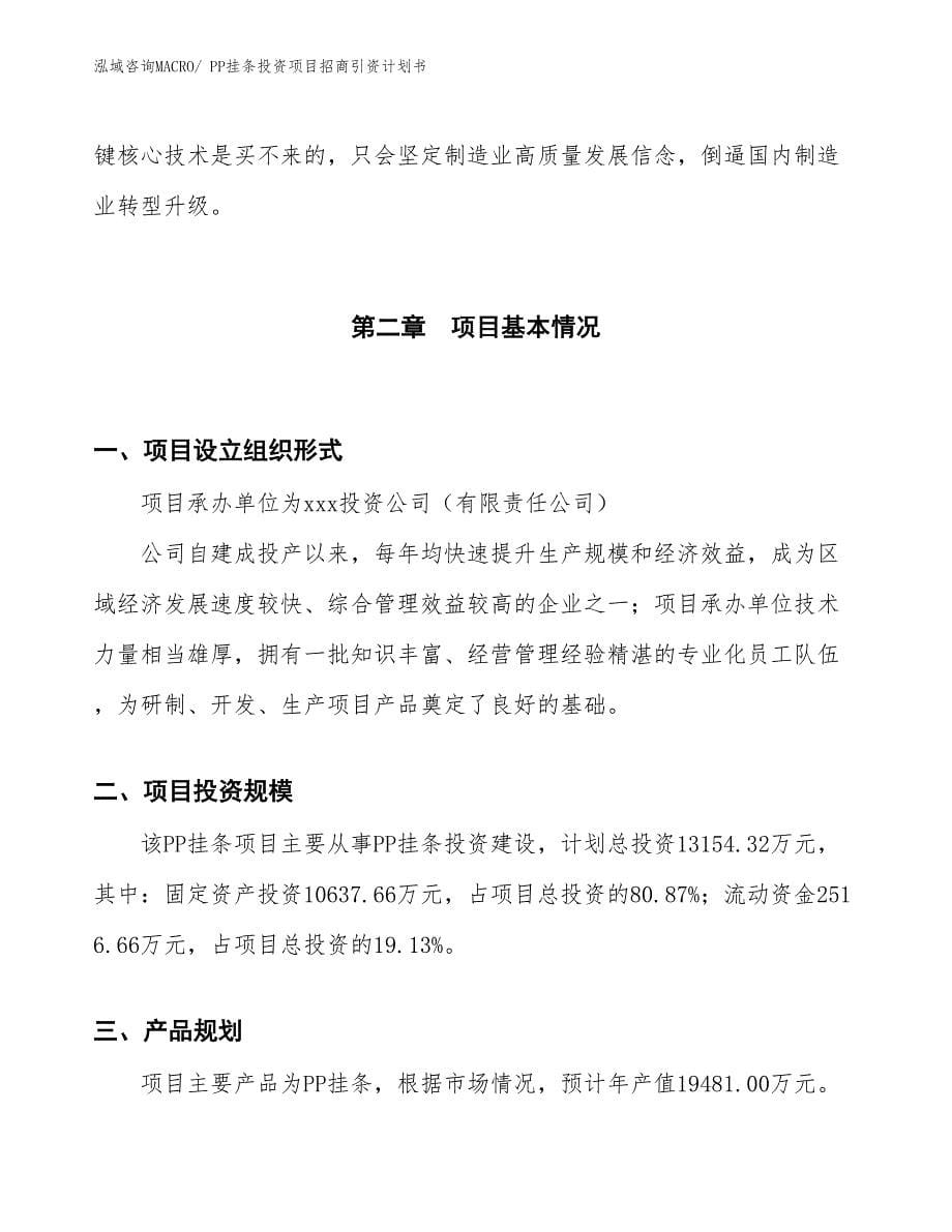 PP挂条投资项目招商引资计划书_第5页