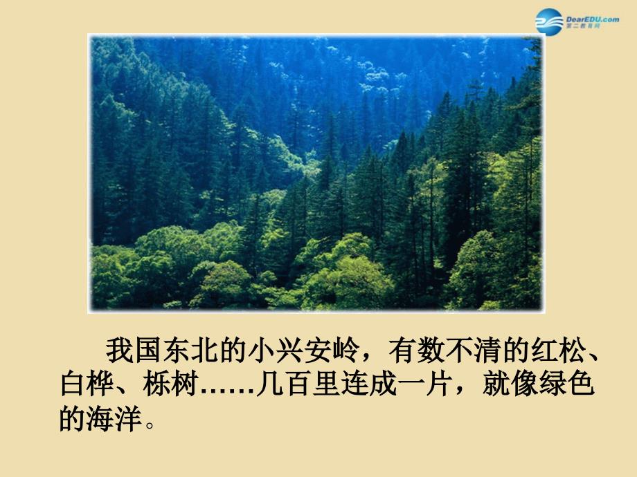 2015春四年级语文下册《美丽的小兴安岭》课件1 北京版_第4页