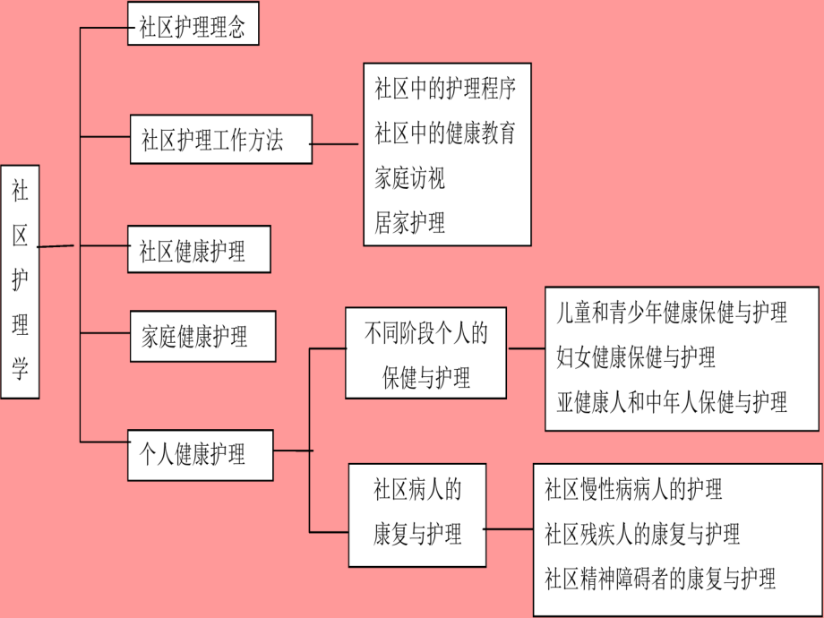 社区护理概论（专科用）_第2页