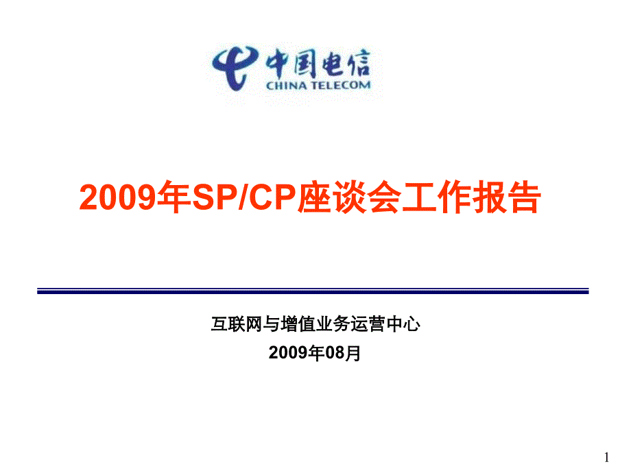 2009年海南电信spcp座谈会工作报告精选_第1页