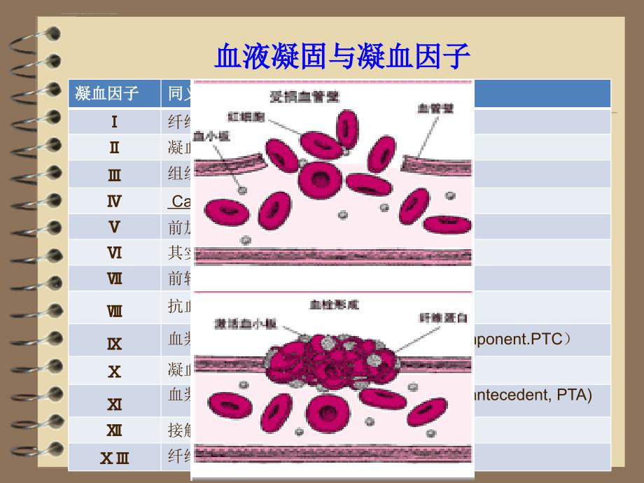 血液与造血系统用药课件_第3页