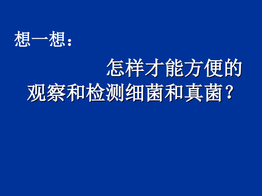 人教版生物八年级上册5.4.1《细菌和真菌的分布》课件-(共55张ppt)_第1页