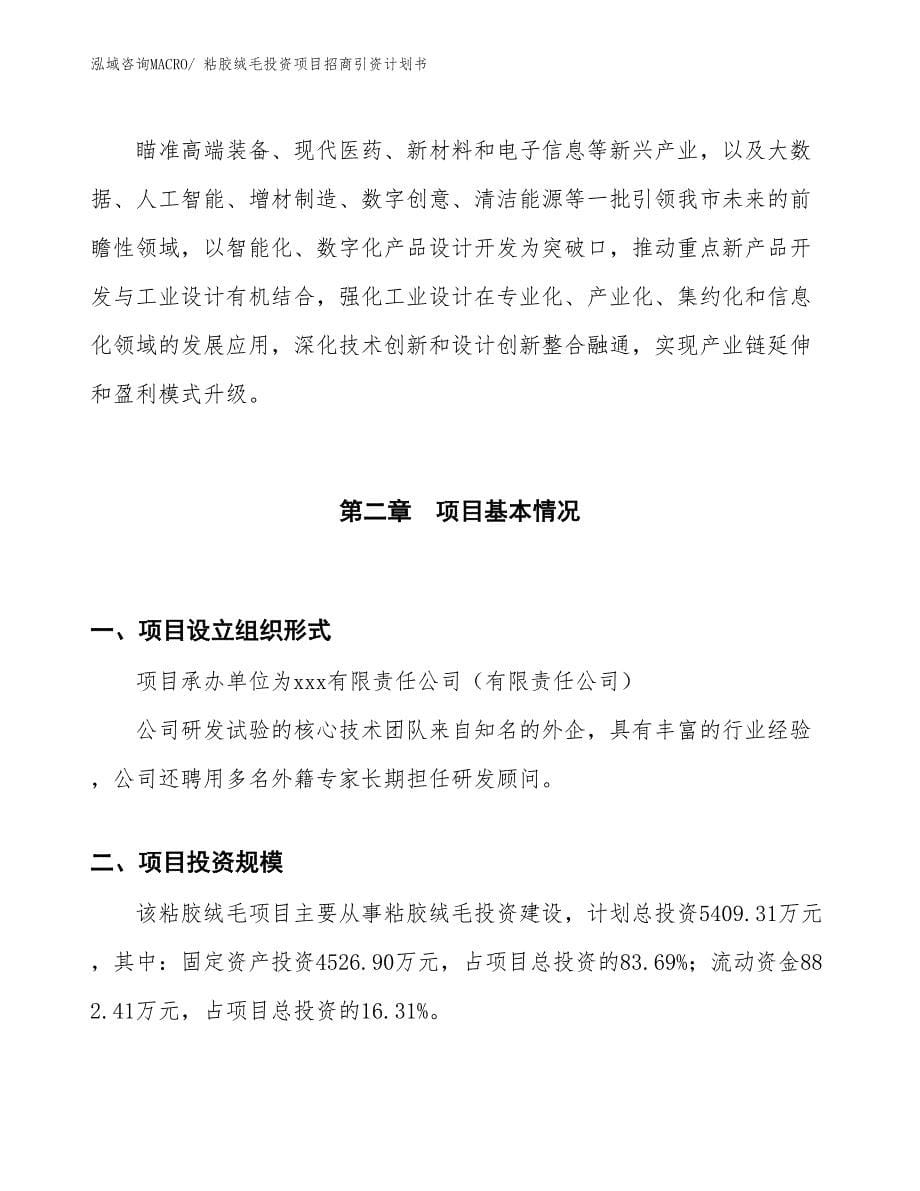 粘胶绒毛投资项目招商引资计划书_第5页