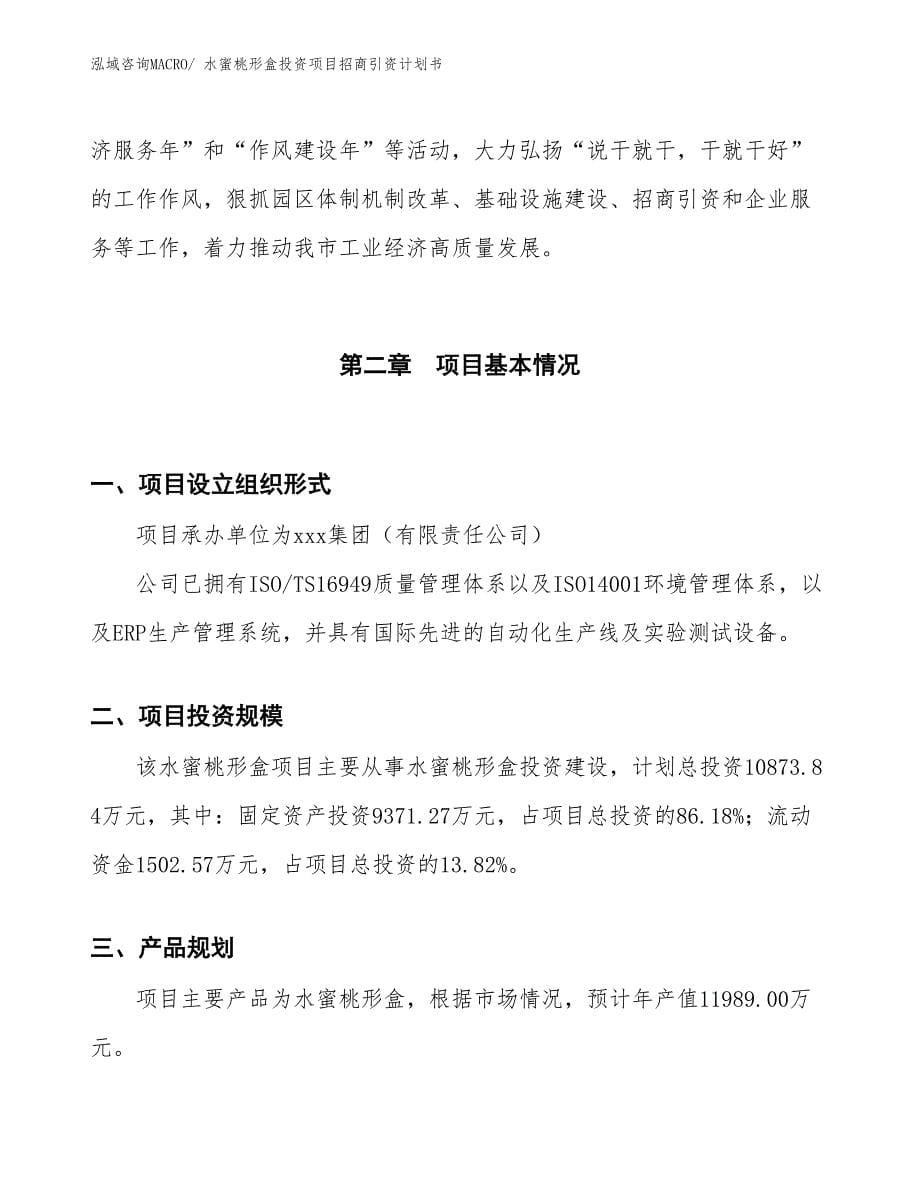 水蜜桃形盒投资项目招商引资计划书_第5页