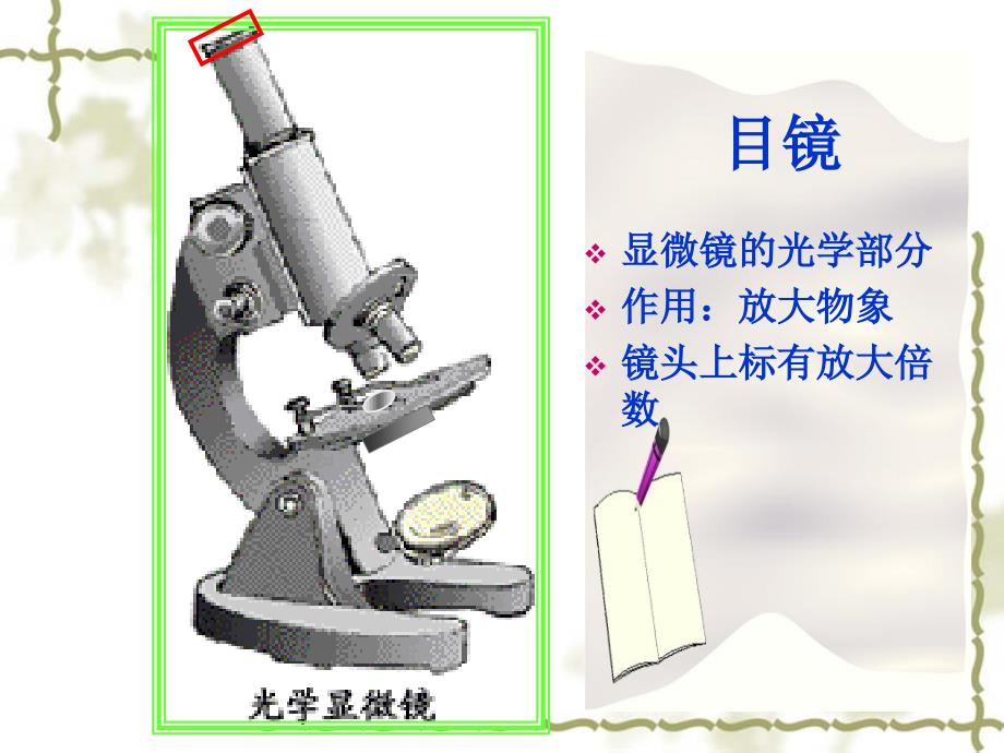 练习使用显微镜ppt幻灯片_第4页