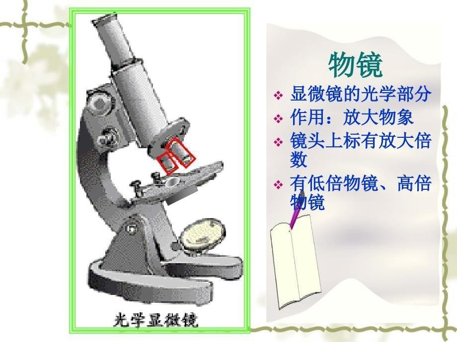 练习使用显微镜ppt幻灯片_第5页