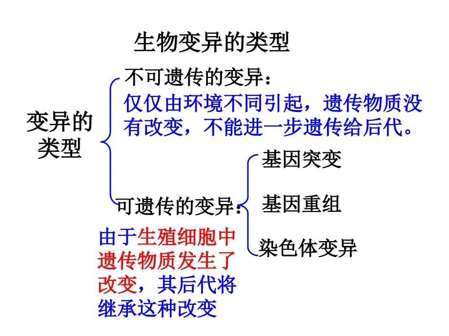 基因突变ppt-医学遗传学课件_第5页