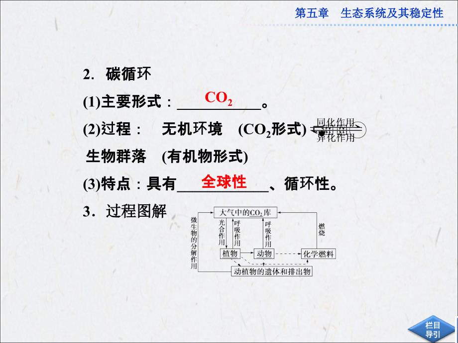 生态系统的物质循环课件（人教必修3）_第4页