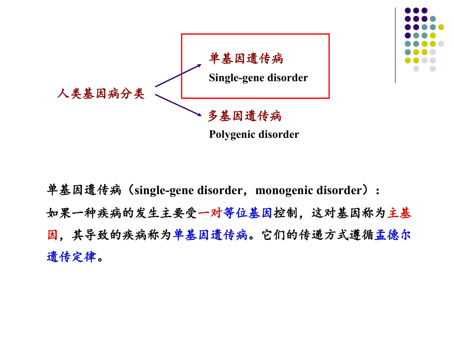 单基因疾病ppt-医学遗传学课件_第2页