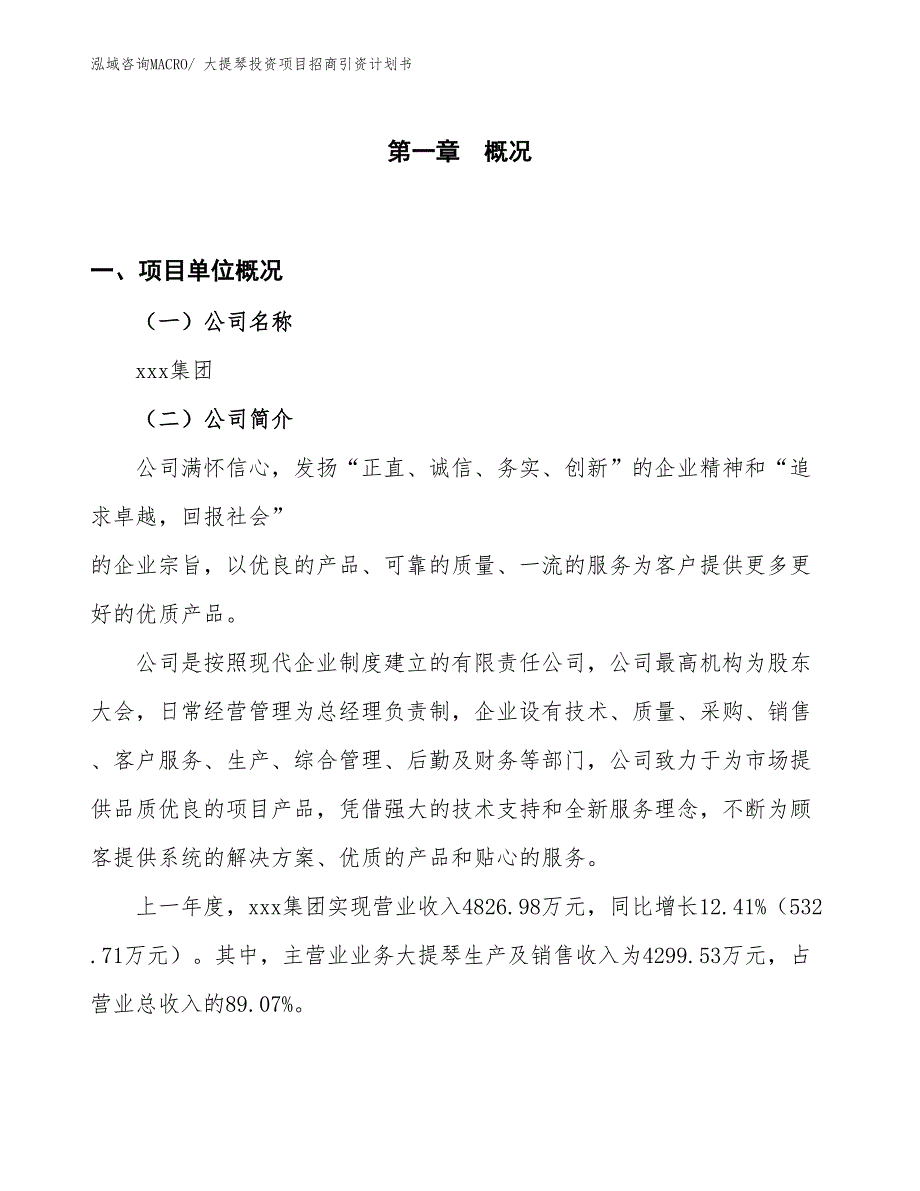 大提琴投资项目招商引资计划书_第1页