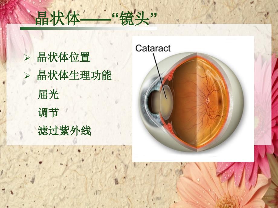 白内障讲座1课件_第3页