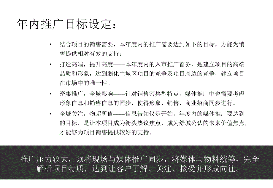 2010舒城广进久富商业广场形象期媒体计划_第3页