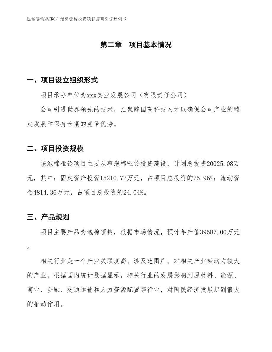 泡棉哑铃投资项目招商引资计划书_第5页