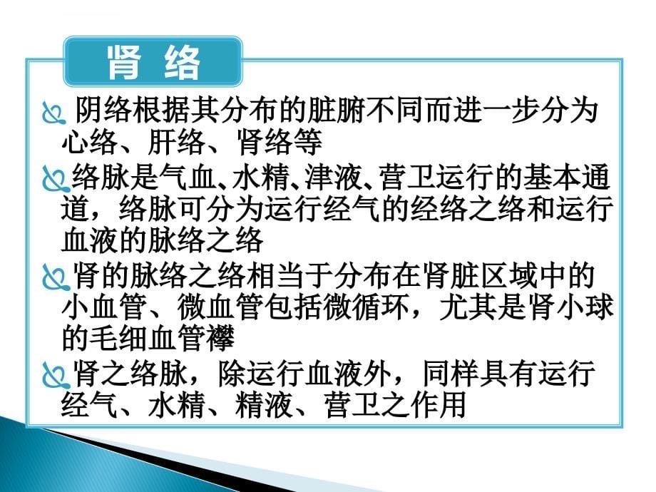 赵玉庸肾络瘀阻病机学说课件_第5页