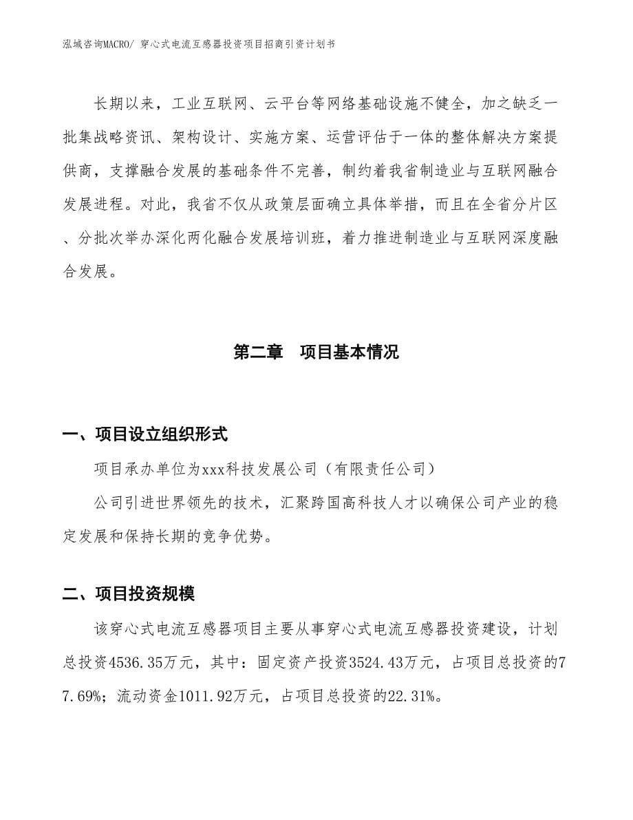 穿心式电流互感器投资项目招商引资计划书_第5页