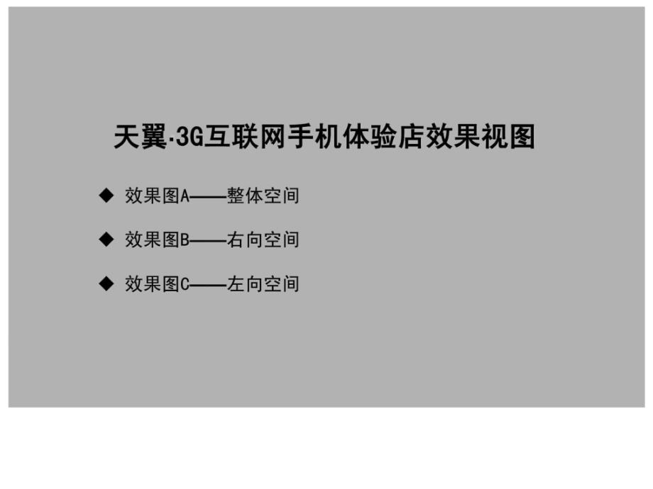 2010年度中国电信3g天翼手机体验店vi团体_第3页