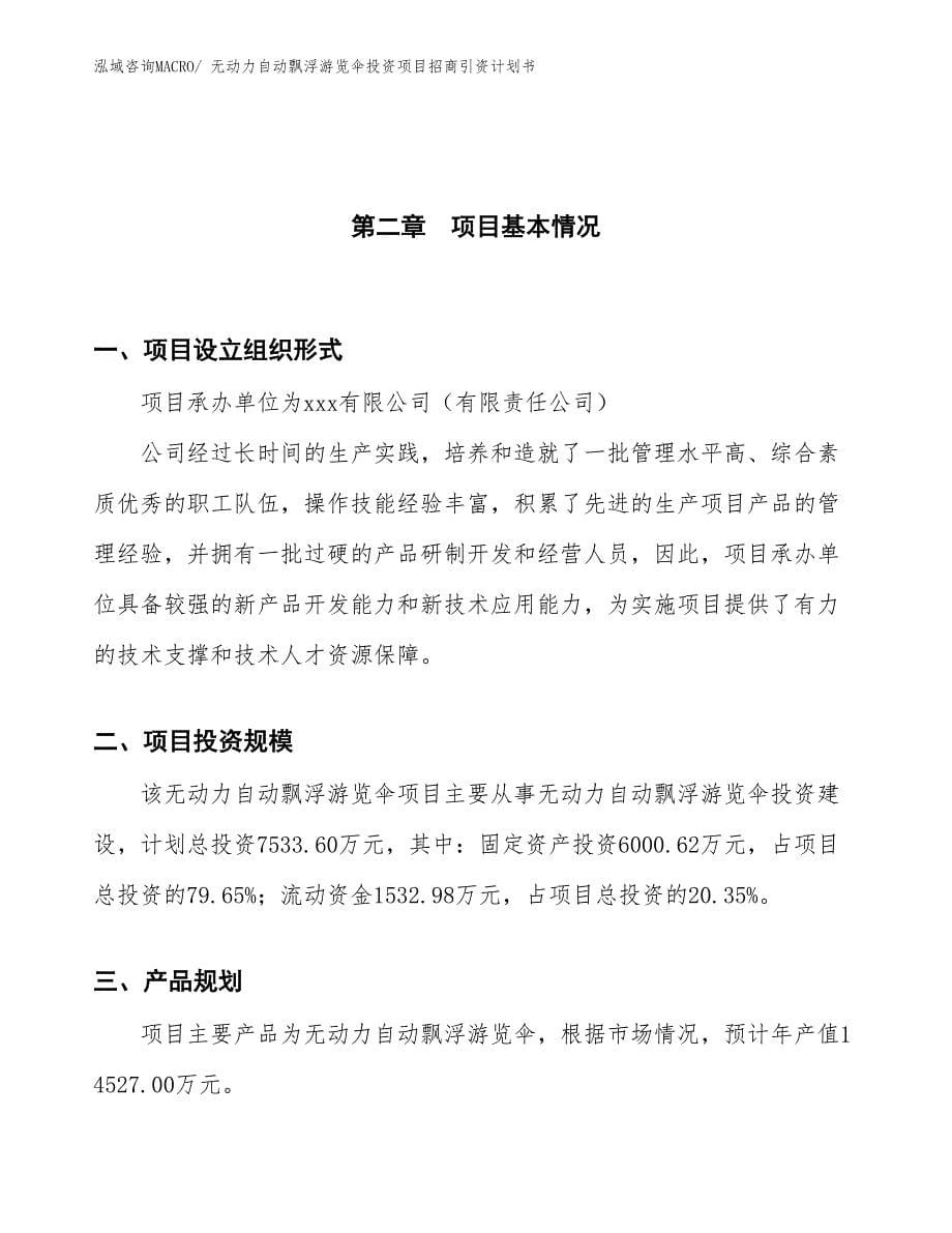 无动力自动飘浮游览伞投资项目招商引资计划书_第5页