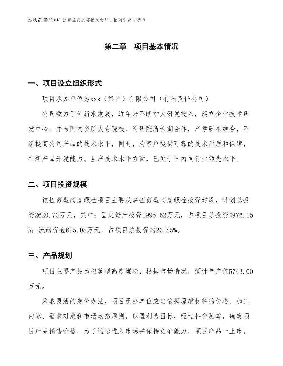 扭剪型高度螺栓投资项目招商引资计划书_第5页