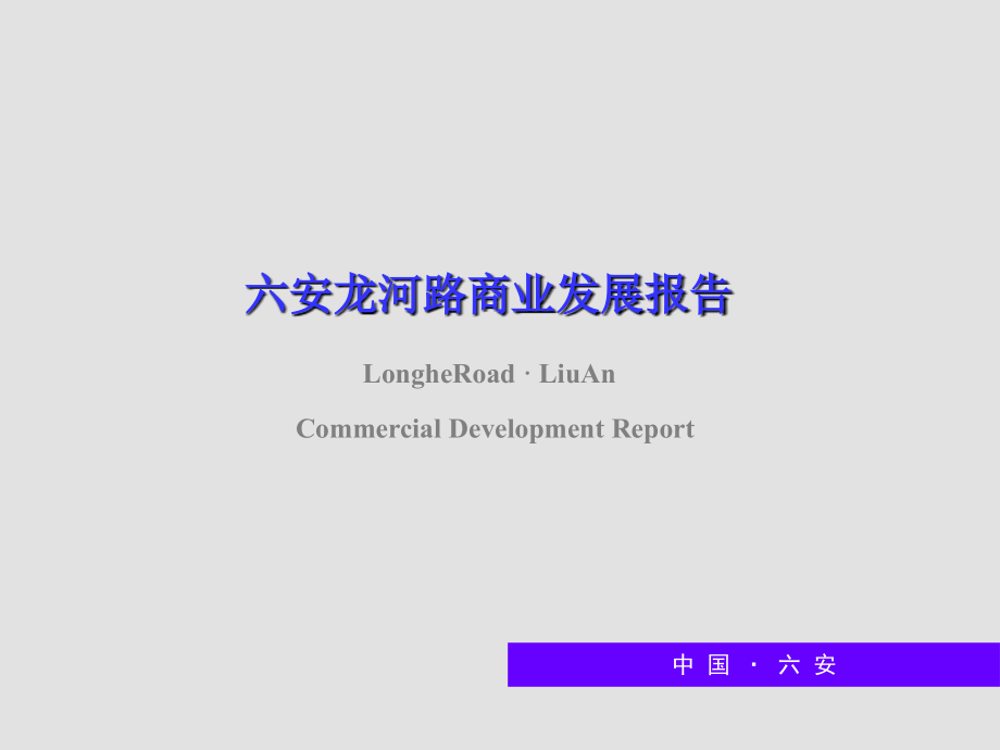 2009年安徽六安龙河路商业发展报告_第1页