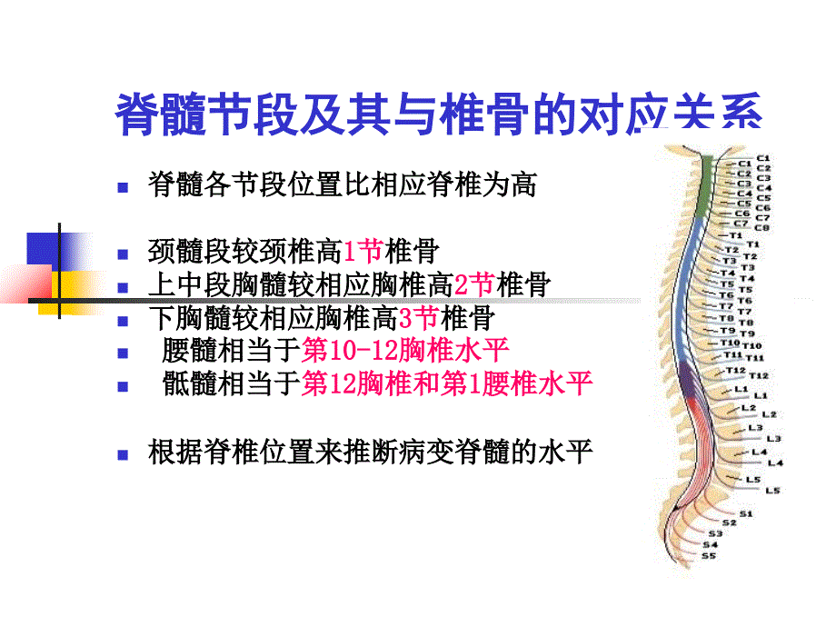 脊髓损伤及其针灸治疗简介课件_第4页