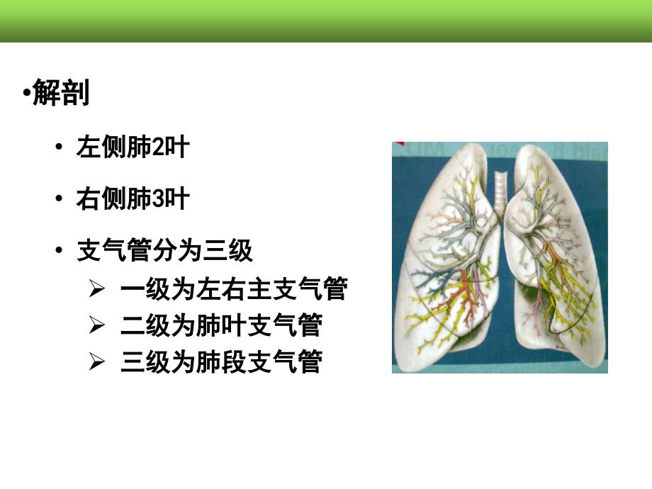 肺癌病人的护理 (2)课件_第3页