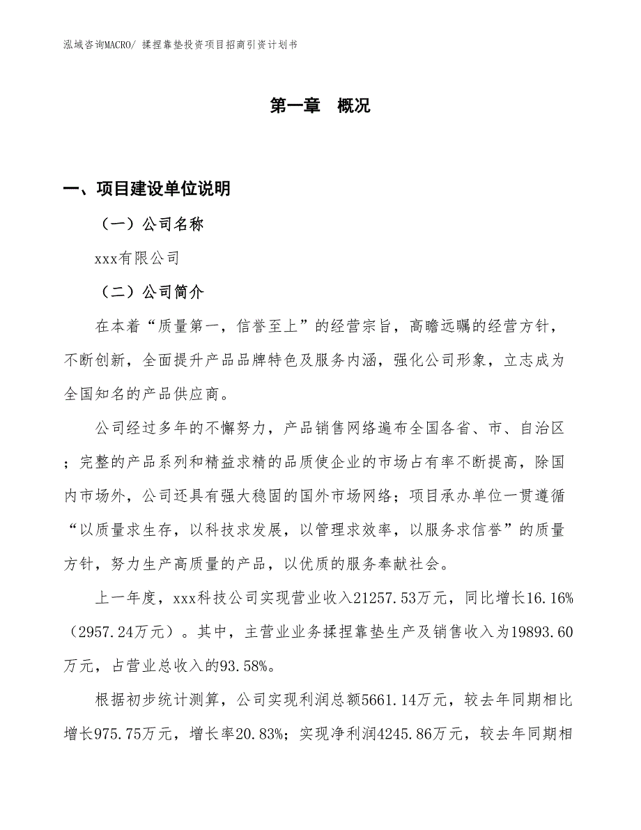 揉捏靠垫投资项目招商引资计划书_第1页